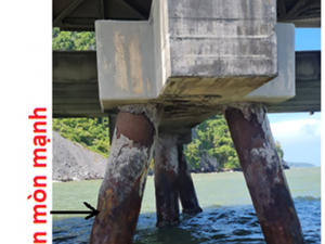 TL SỐ 51: 20/08/2026   BẢO VỆ CHỐNG ĂN MÒN TOÀN DIỆN CHO VÙNG SPLASH VÀ TIDAL GIẢI PHÁP PILE WRAP KẾT HỢP CATHODIC PROTECTION -  TUỔI THỌ 30 NĂM